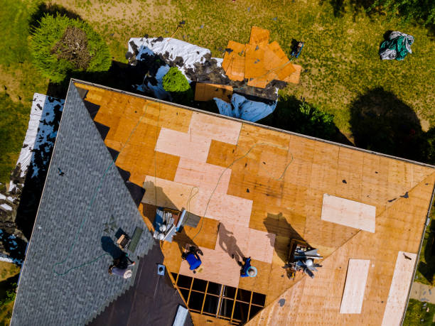 Roof Waterproofing Services in Henderson, GA